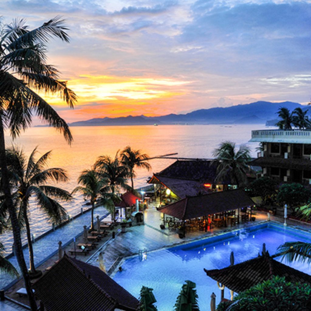 bali-palm-4