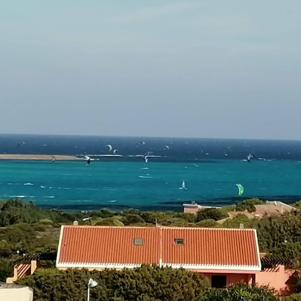 capo-falcone-1