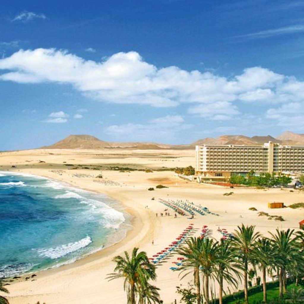 riu-uliva-1