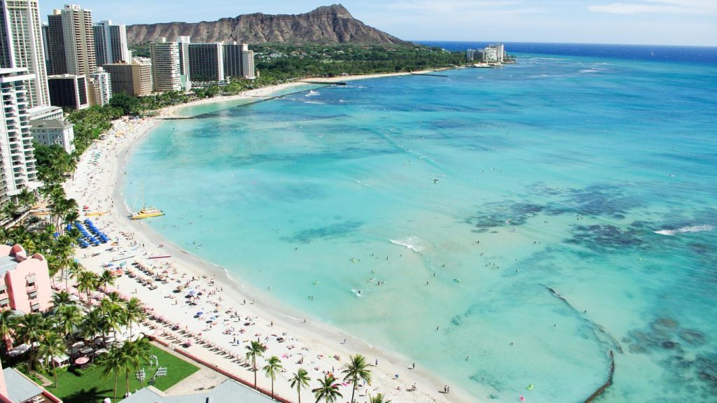 kuhio-banyan-4